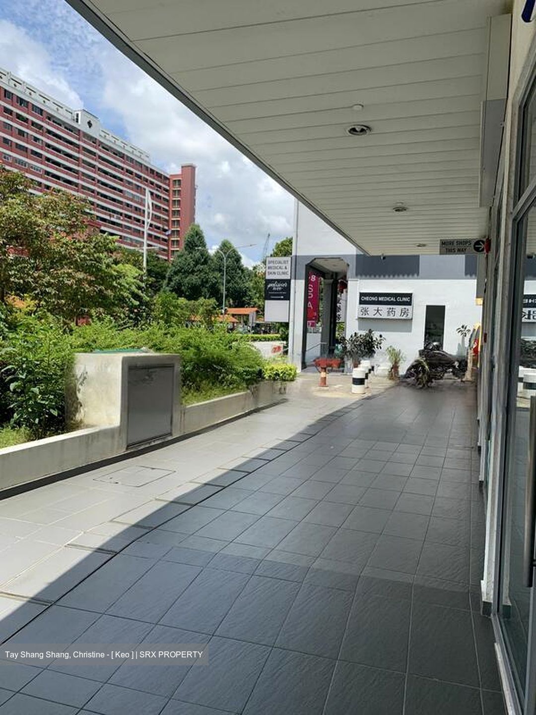 Suites @ Bukit Timah (D21), Shop House #577031251